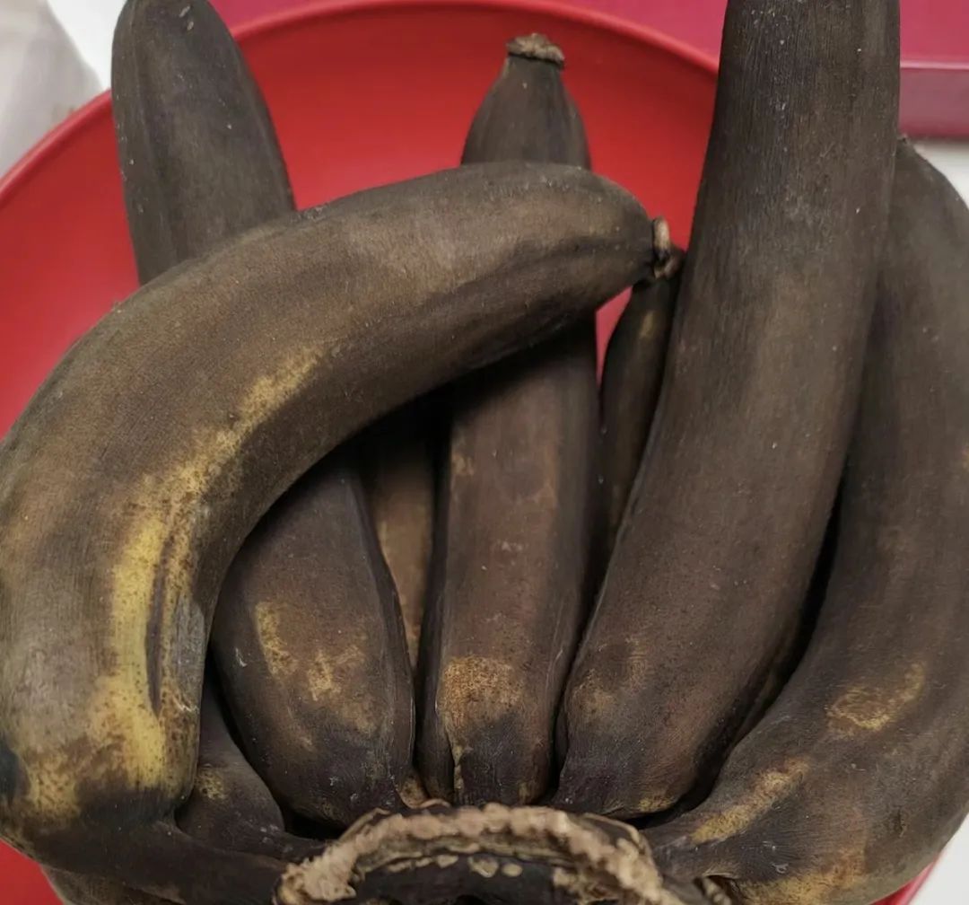 香蕉2050年消失真相 香蕉真的会灭绝吗