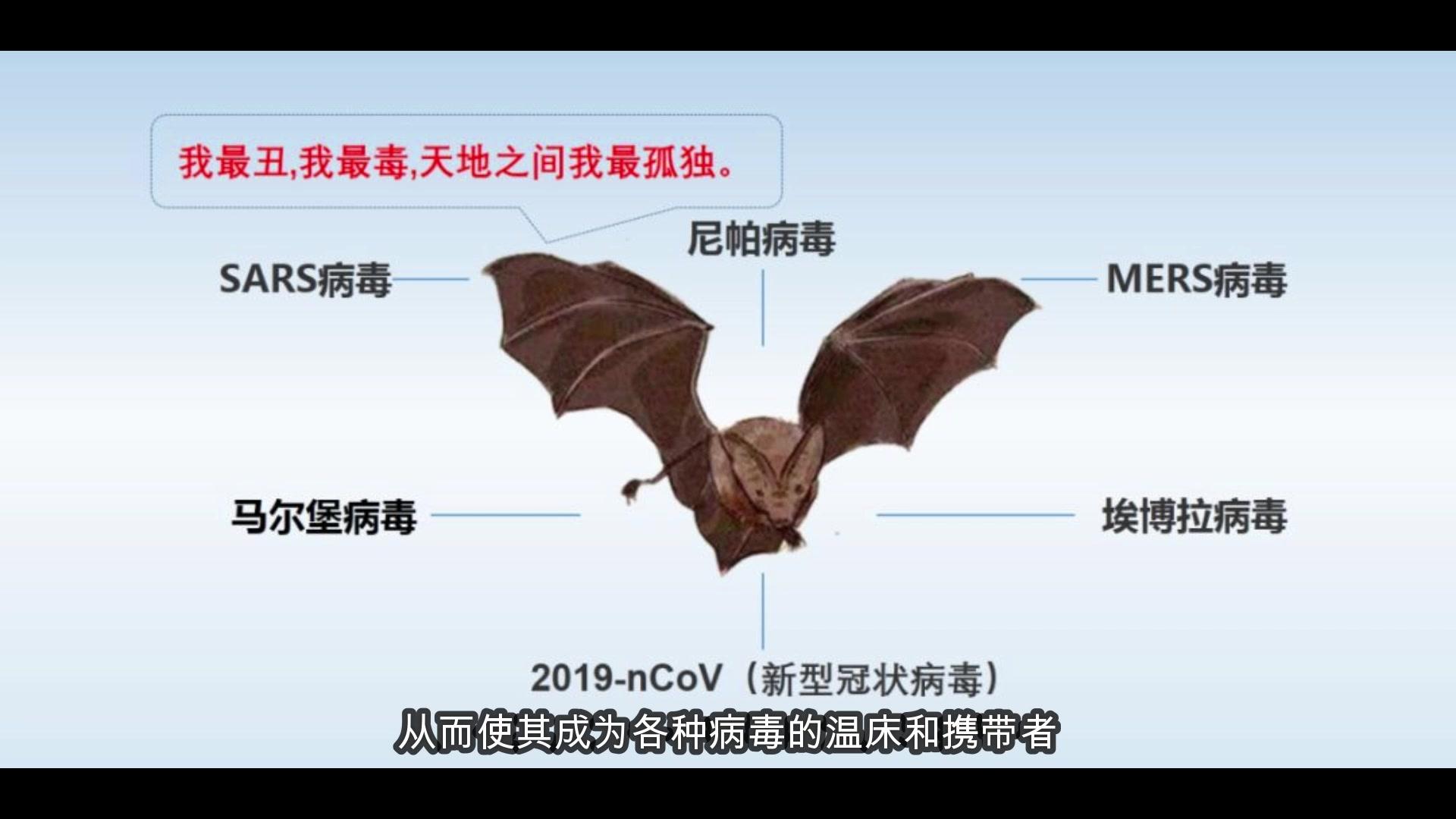 为什么现代哺乳动物几乎不使用毒液？揭秘背后的秘密！