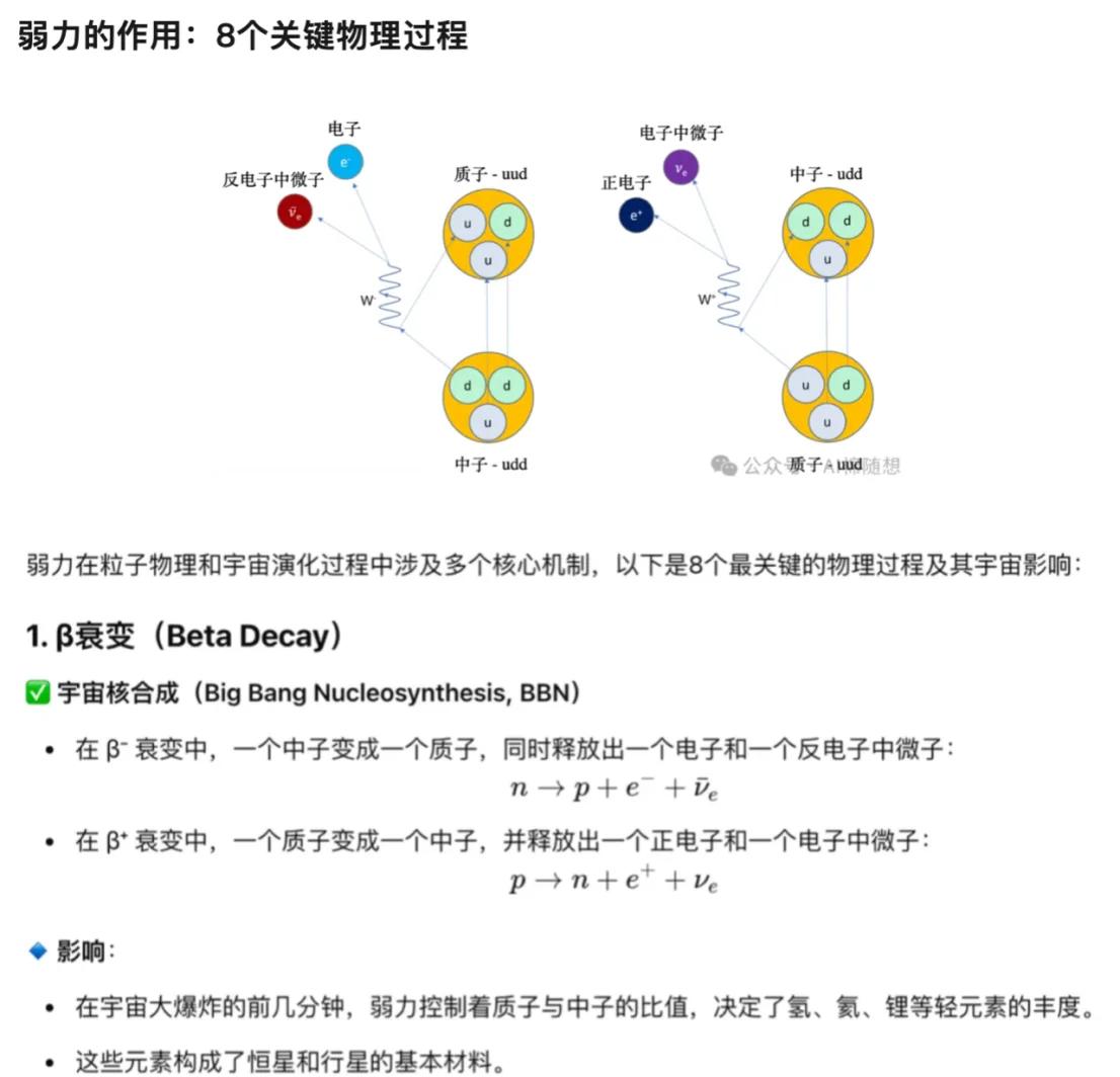 弱力到底是什么？为什么它在物理学中这么重要？