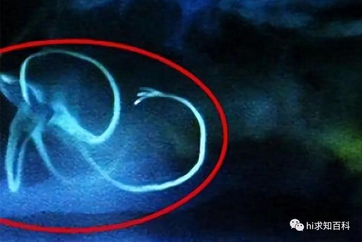 殖民太空难题！人类在太空能生孩子吗？科学家：或将突...