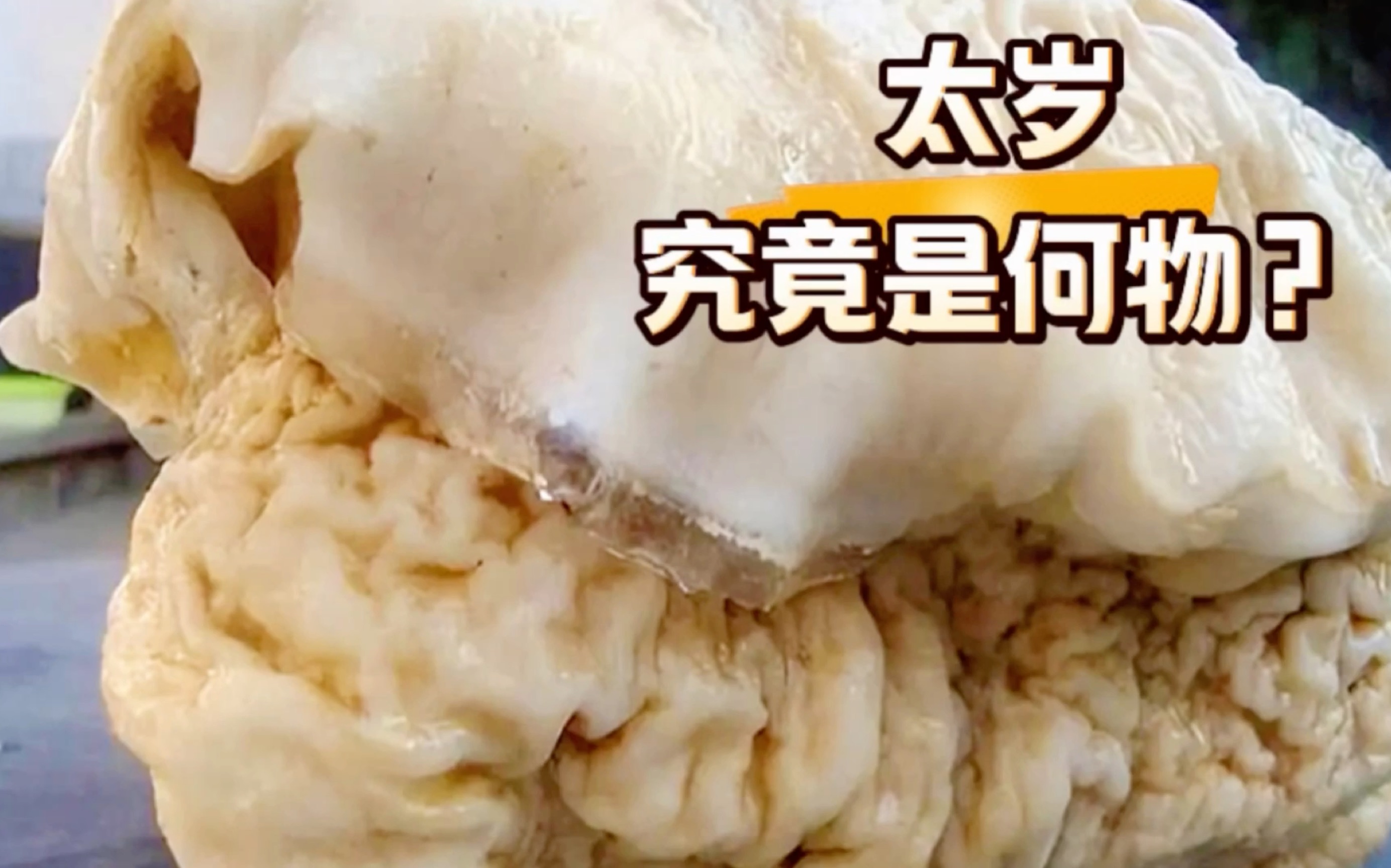 太岁到底是什么？它真的违背自然规律吗？