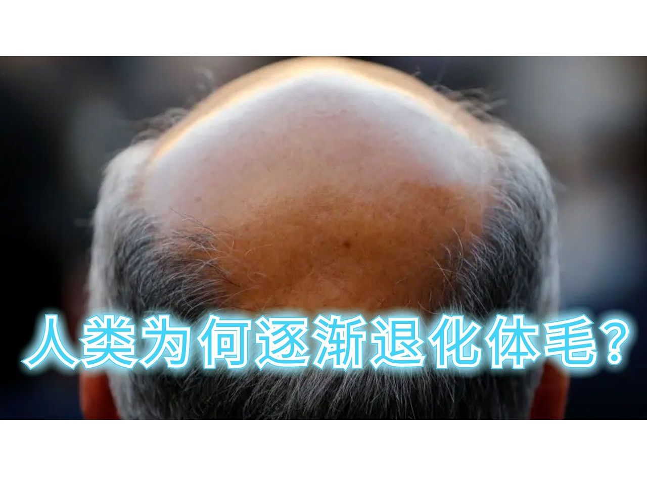 为什么人类褪去了体毛却保留了头发？真相到底是什么？