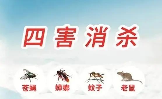 人类真的能彻底消灭蚊子和苍蝇吗？它们为什么这么顽强？