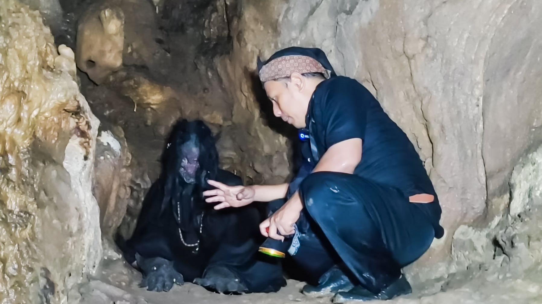 外星人存在证据揭秘 太阳系四道墙困住人类