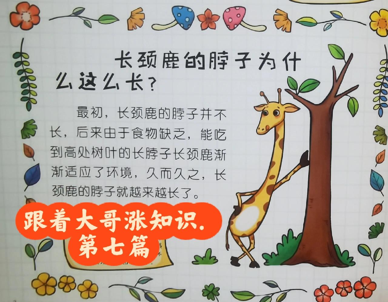 进化论如何解释长颈鹿的长脖子?为什么不是腿长或者舌...