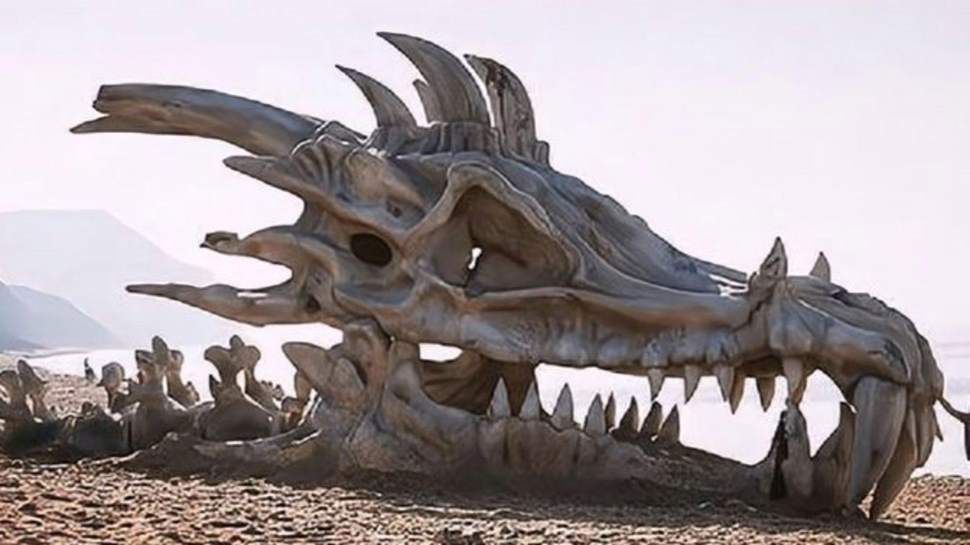 村里的老人都相信龙的存在，这种动物真的存在吗？...