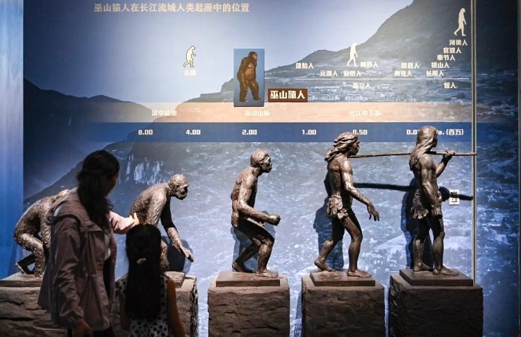 人类起源于哪里?