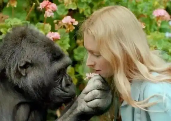 什么是生殖隔离?人类如果不存在生殖隔离有多可怕?...