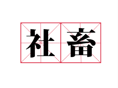 职场新标签“社畜”是你吗?...