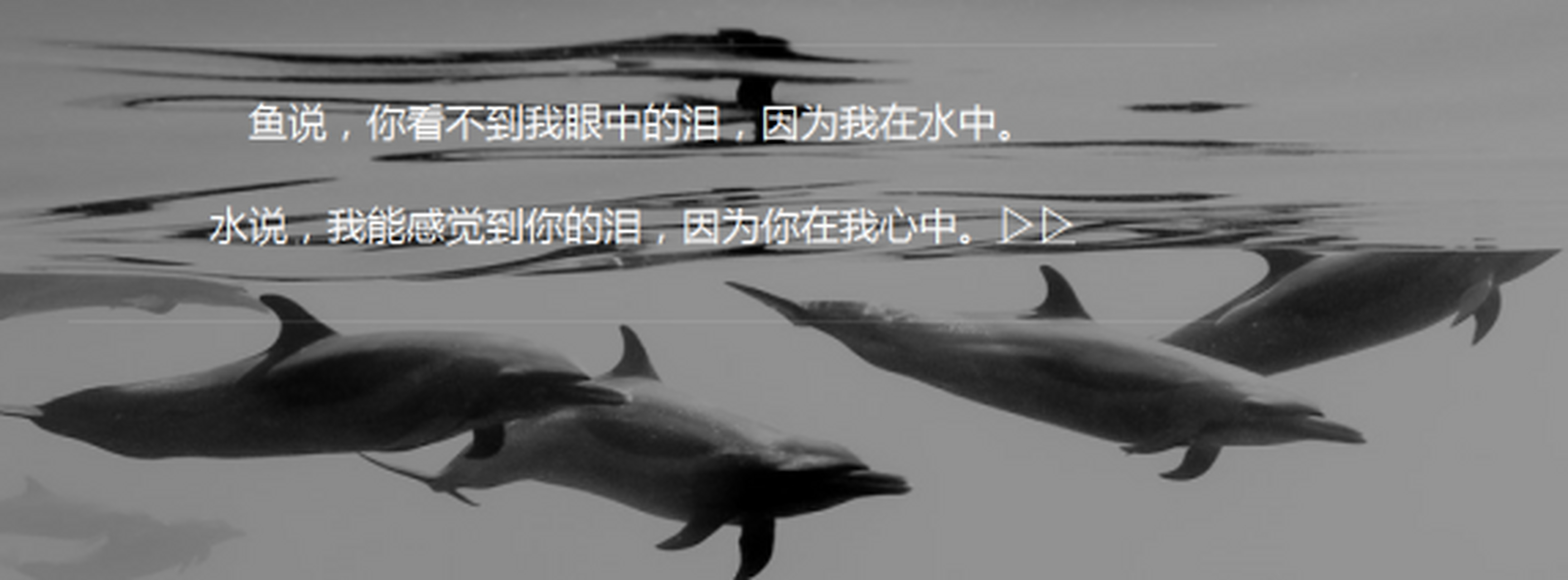 鱼和水的爱情哲理 鱼那么爱水水为什么要煮鱼