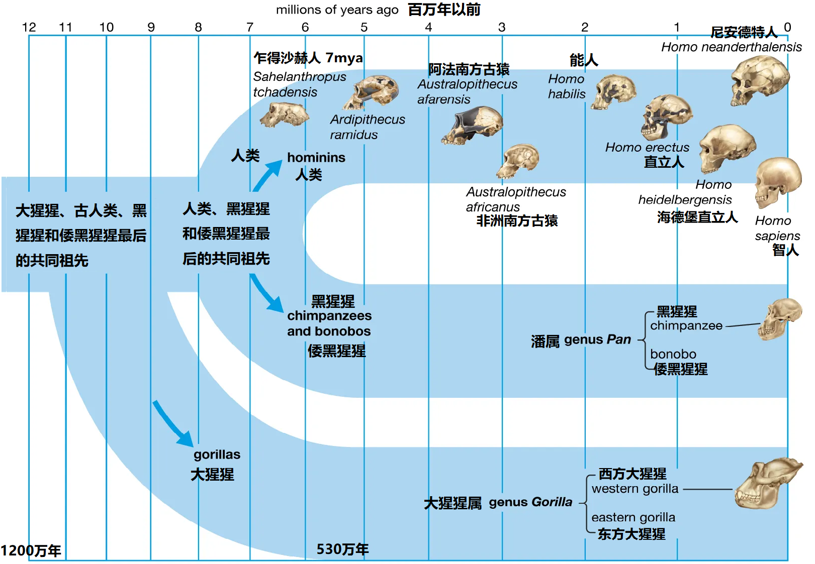 为什么人类能诞生？地球上的“奇迹”是怎么发生的？