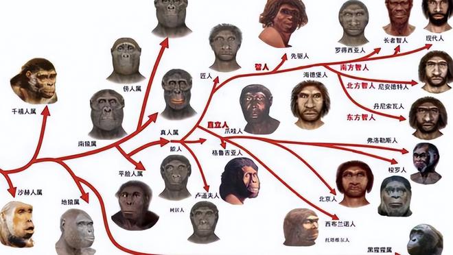 人类进化中生殖隔离需要多久？为什么地球上的人类没有生殖隔离现象？