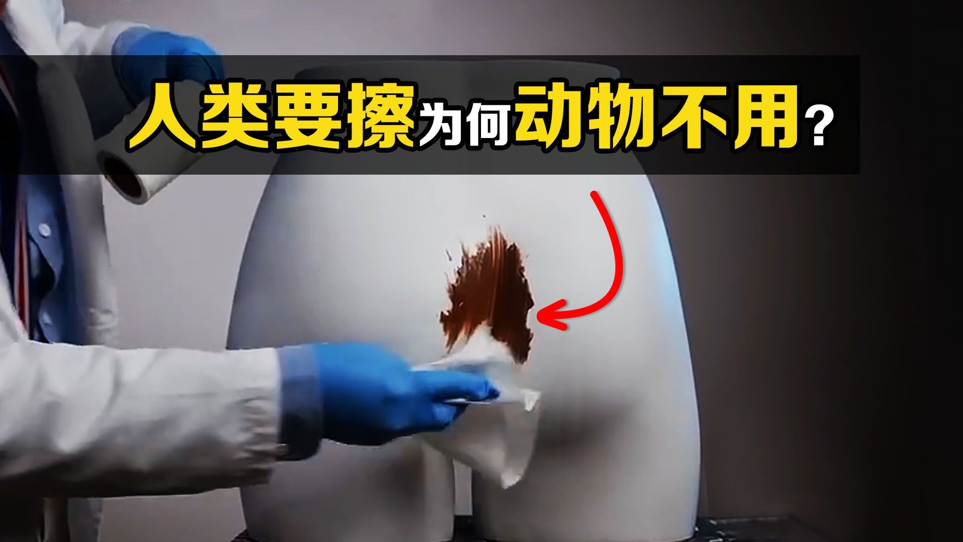 为什么其他动物拉屎不用擦屁股，而人类却非得擦？真相到底是什么？