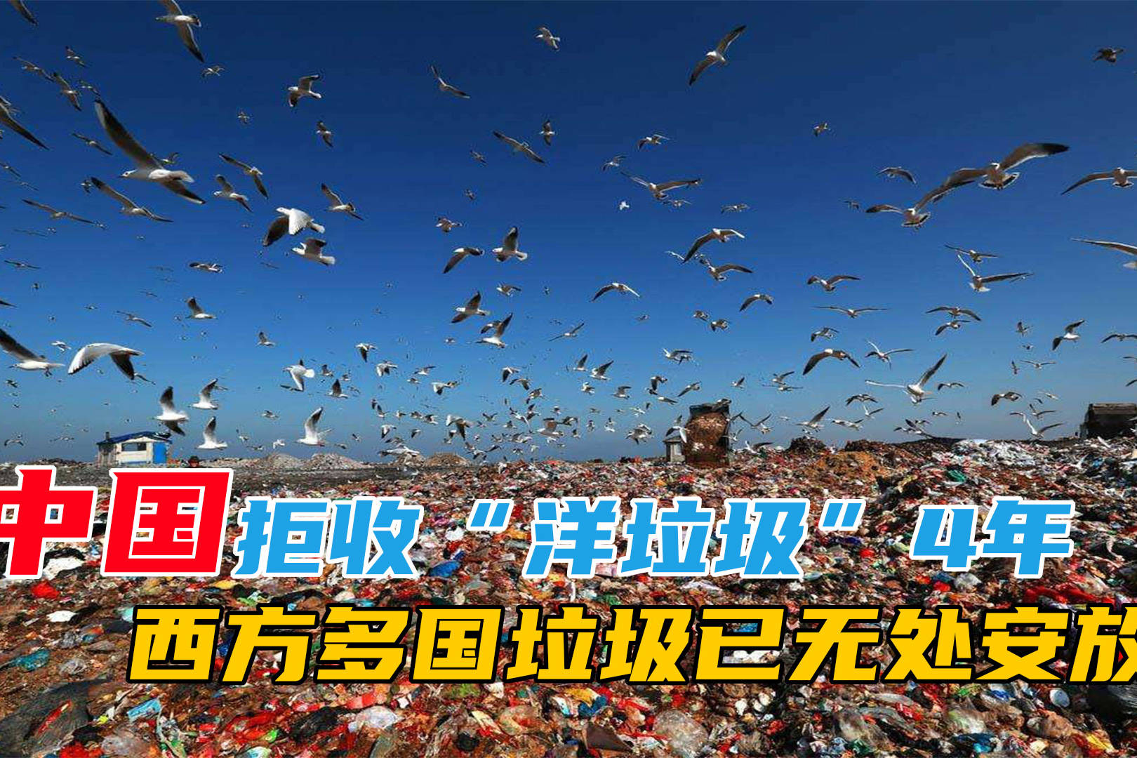 中国拒收洋垃圾引发了什么变化？...