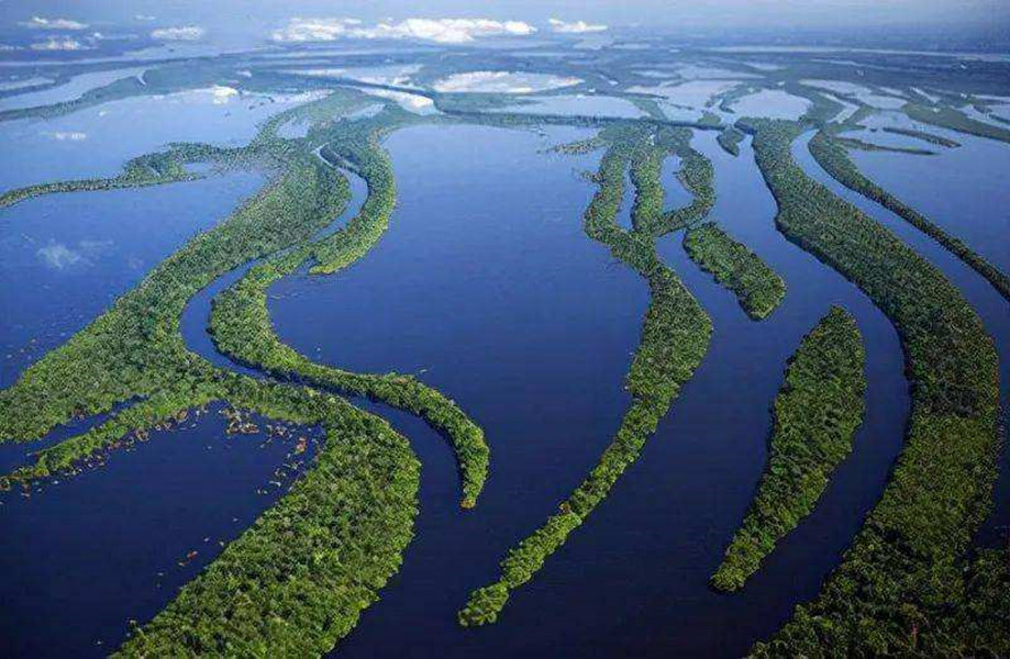 亚马逊河到底有多可怕?为什么当地人都不敢在亚马逊河...