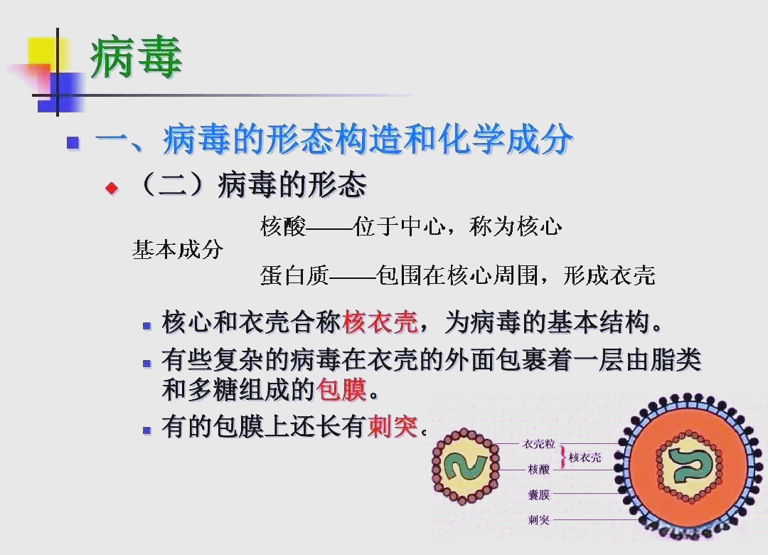 病毒的终极目的是什么？杀死宿主，和宿主共生？...