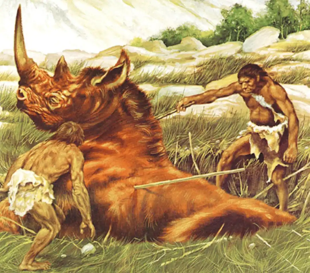 人类为何只吃食草动物的肉，而很少吃食肉动物？...