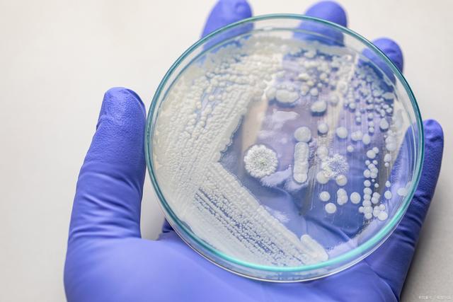 单身女性冻卵权利 冷冻卵子为何这么重要