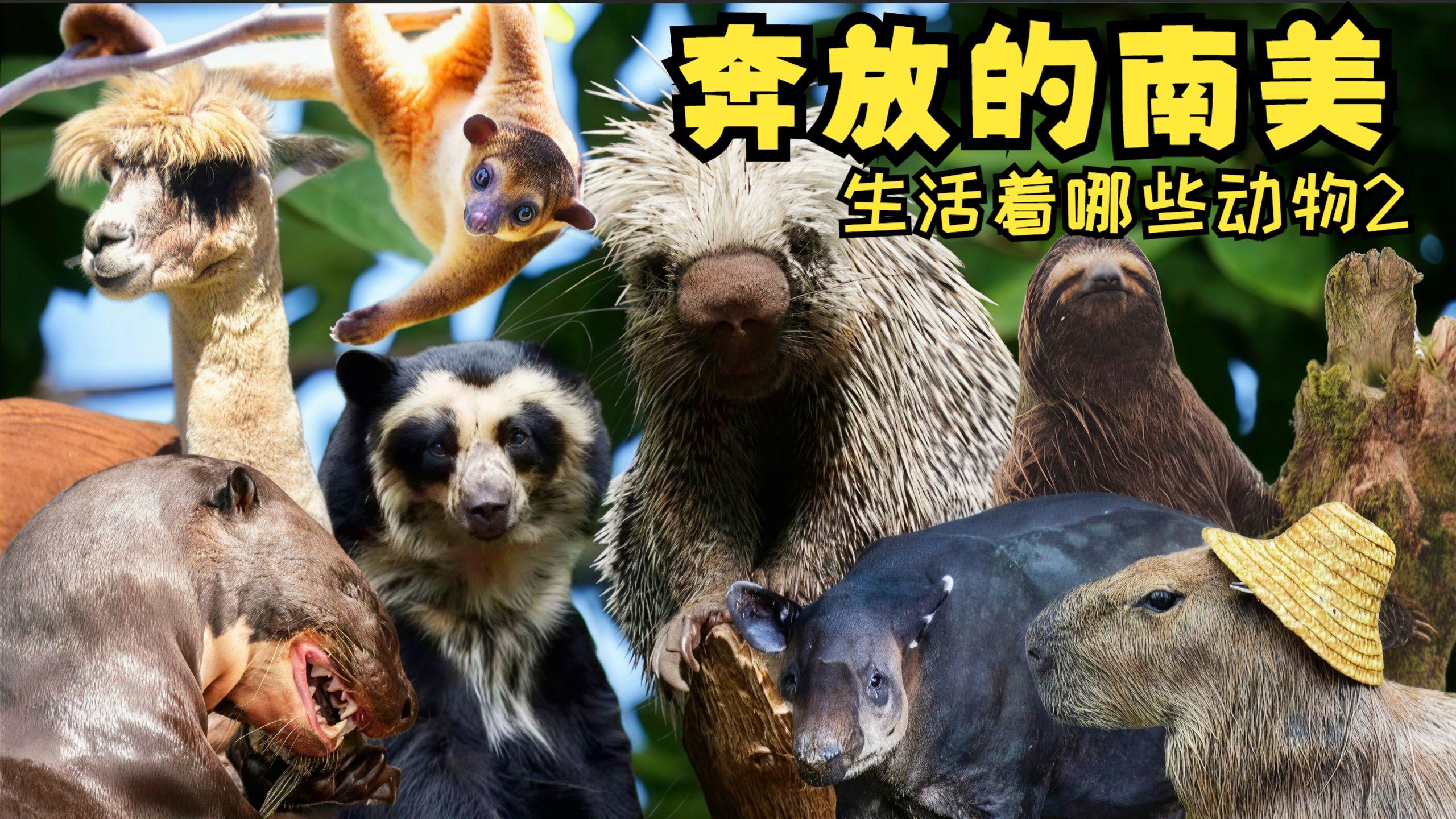 最近最新手机中文大全10