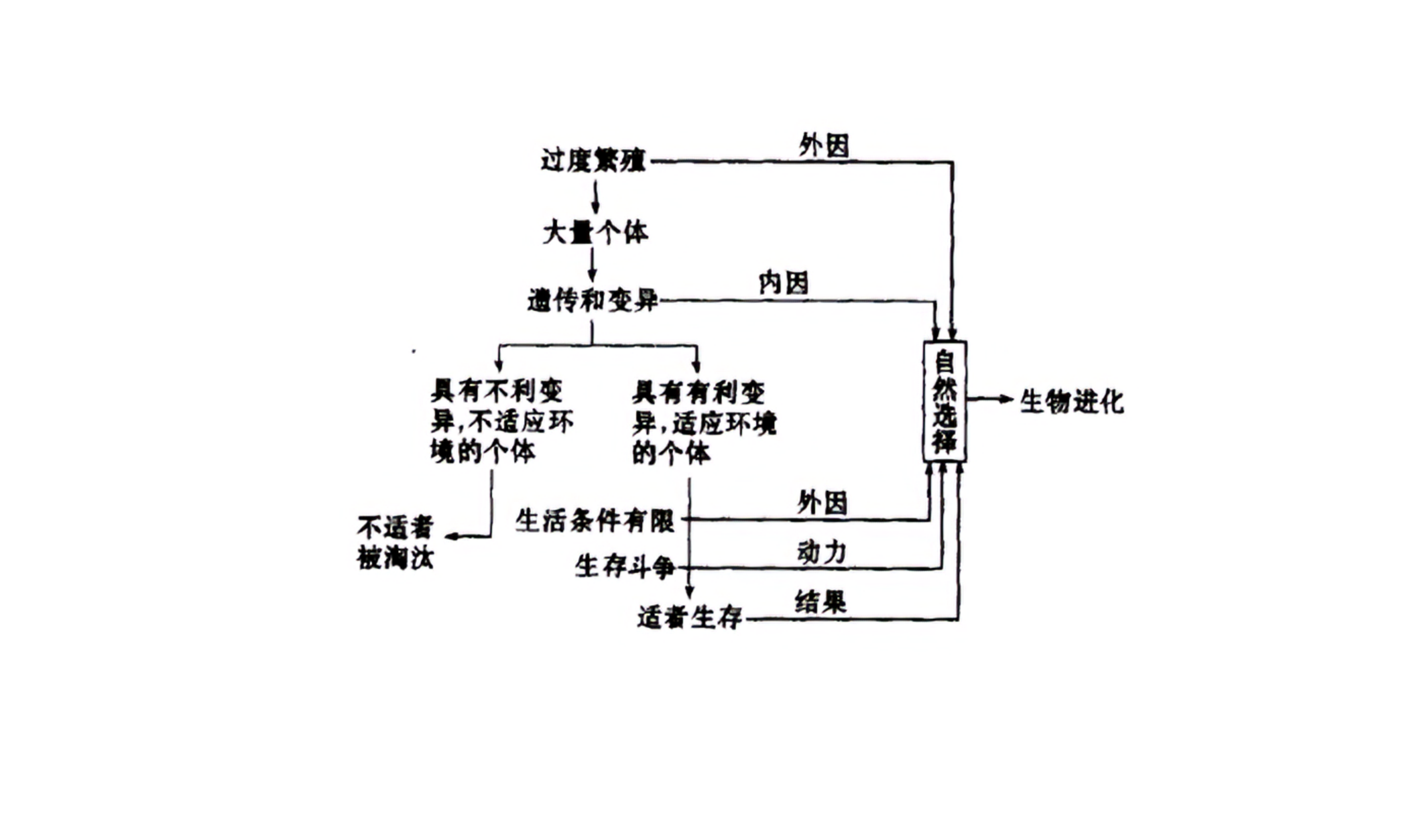 为什么人类和其他物种会有“生殖隔离”？...
