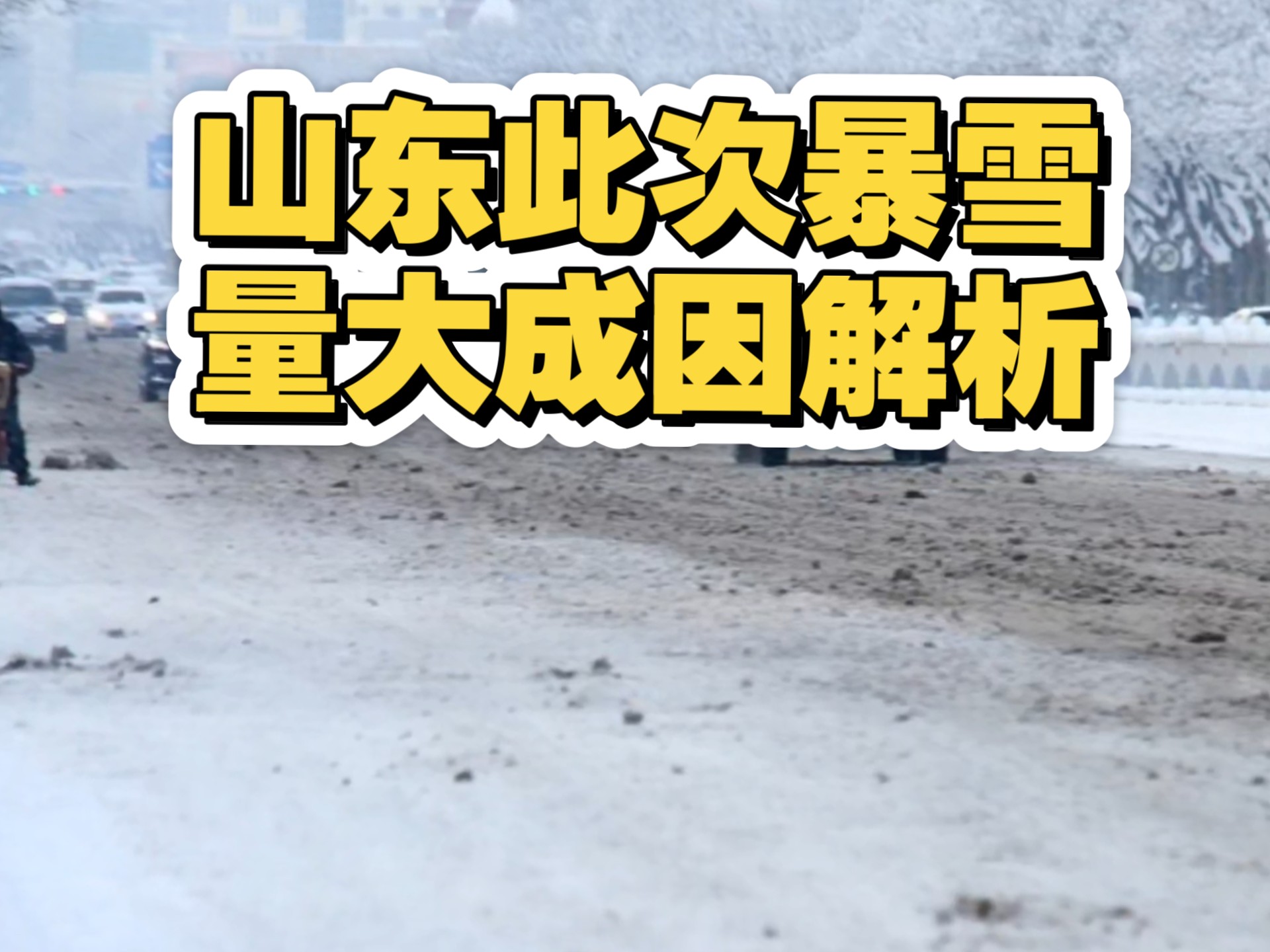 居民做核酸路上发现脚印，疑似野生东北虎，暴雪对它们...
