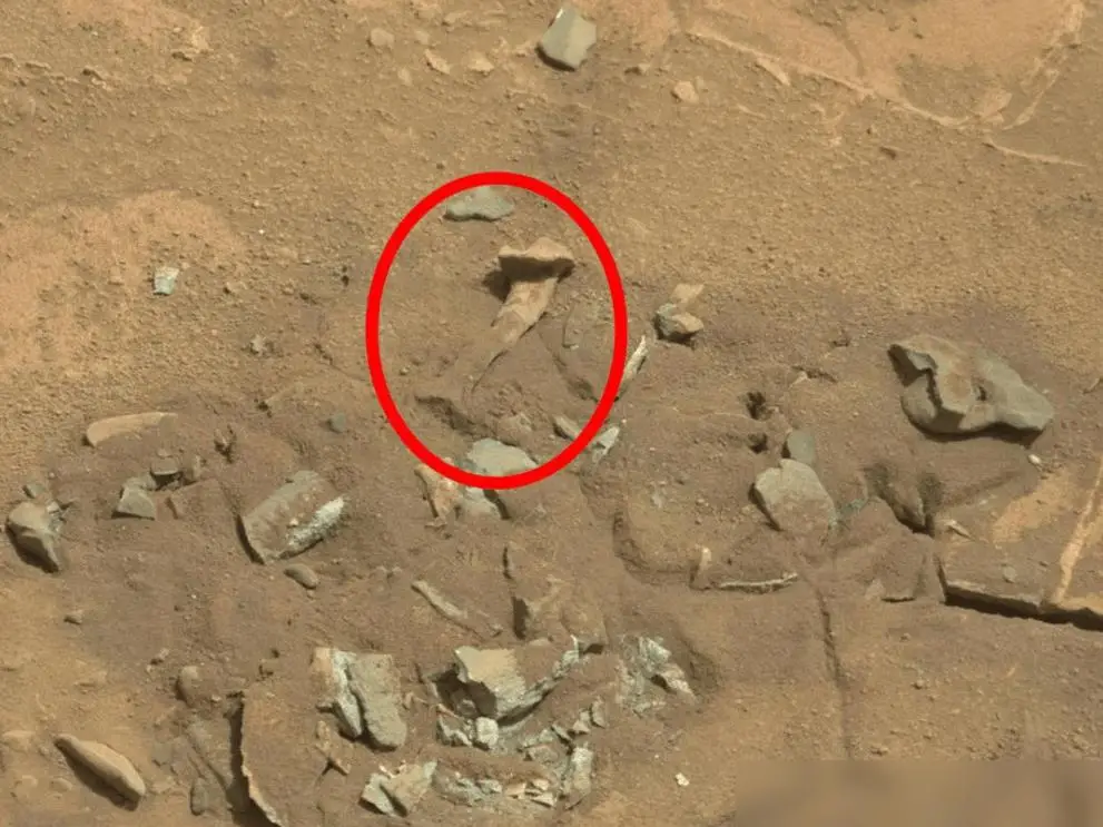火星上真的有人工物体吗？这些发现到底说明了什么？