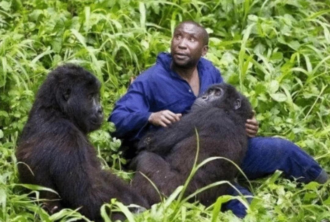 生殖隔离到底有多可怕？人类和动物之间真的存在隔离吗？