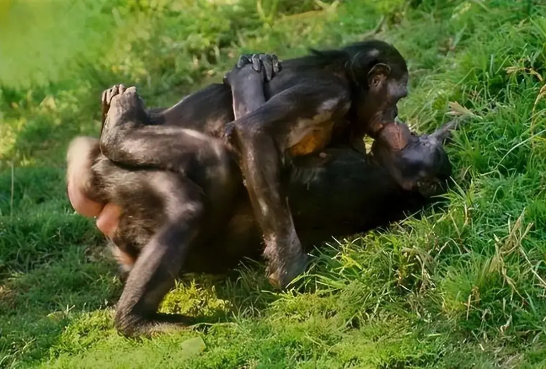 哪种生物的繁殖方式在自然界最奇葩？...