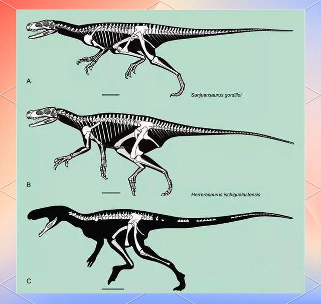 为什么说我们现在喝的水可能是恐龙的尿？这到底是真的吗？