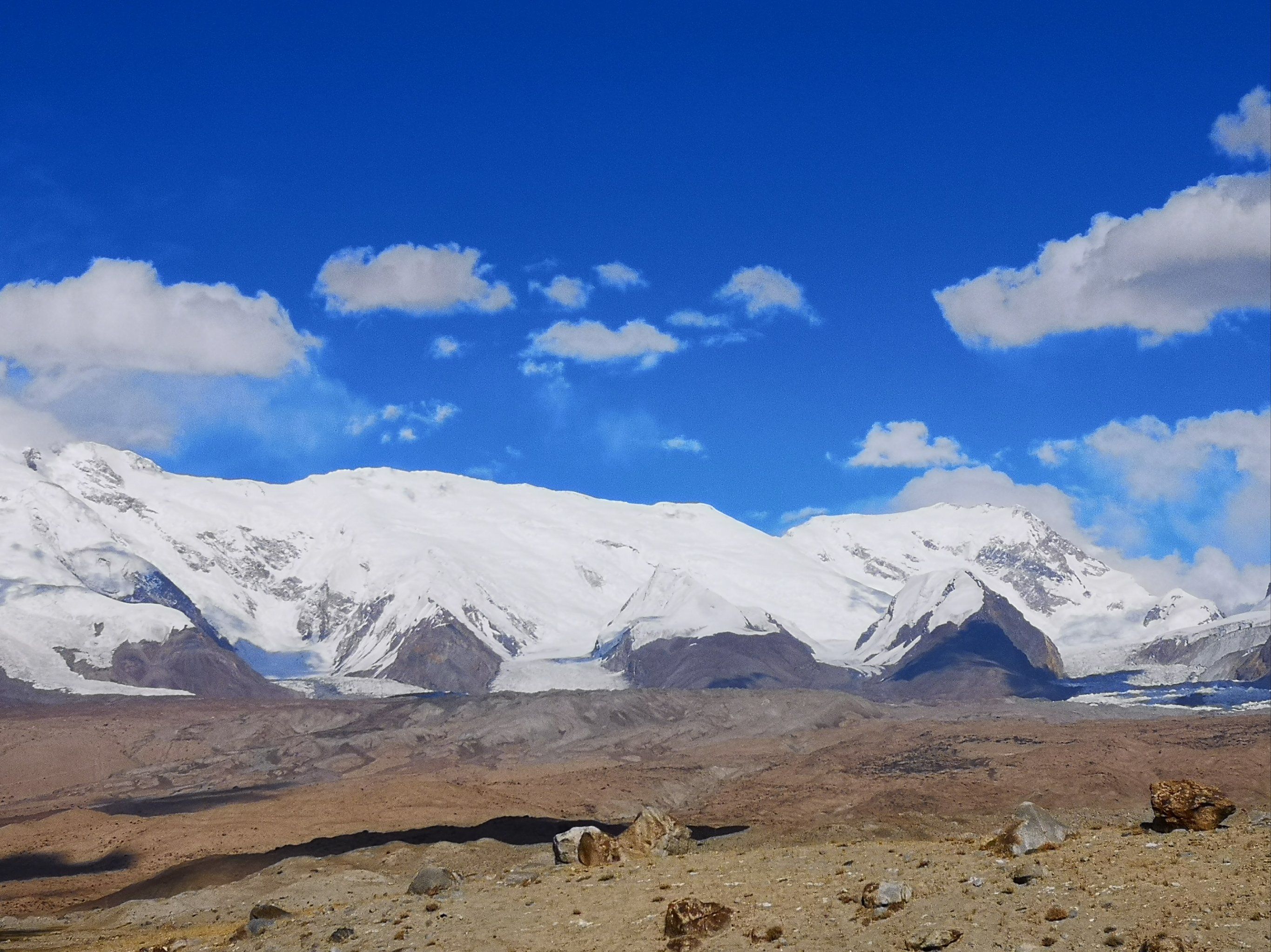 如火如荼的留学大潮能实现百年学术振兴之梦吗？...