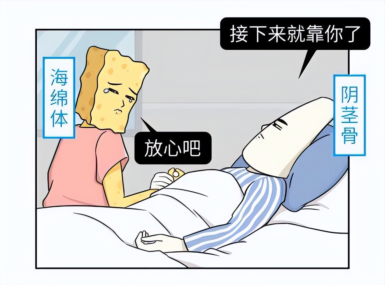 进化过程中的人类，莫名其妙丢失一块骨头，仿佛失去了...
