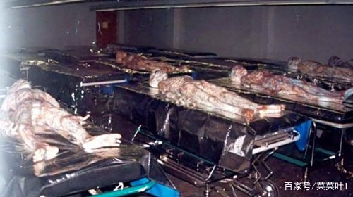 世界多地出现神秘金属柱，是外星人所为，还是一场闹剧...